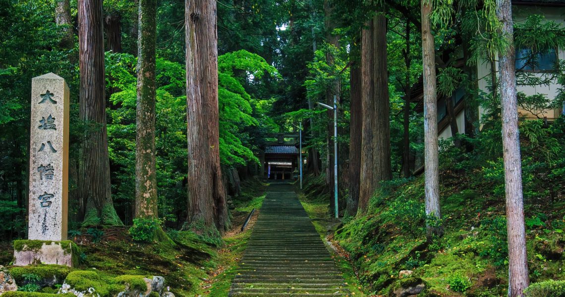 九星気学の祐気取りとは？運気を上げる具体的な方法と効果